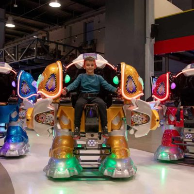 BattleKingRobotiA